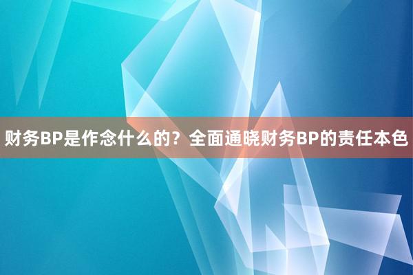 财务BP是作念什么的？全面通晓财务BP的责任本色